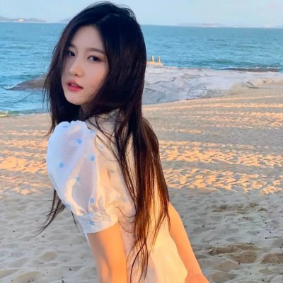 马拉喀尔：阿拉伯海狮